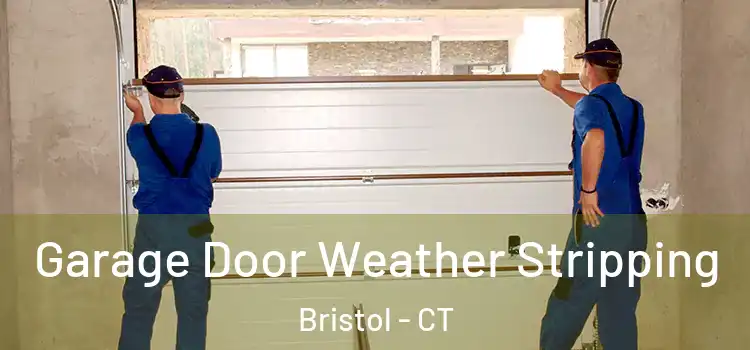  Garage Door Weather Stripping Bristol - CT